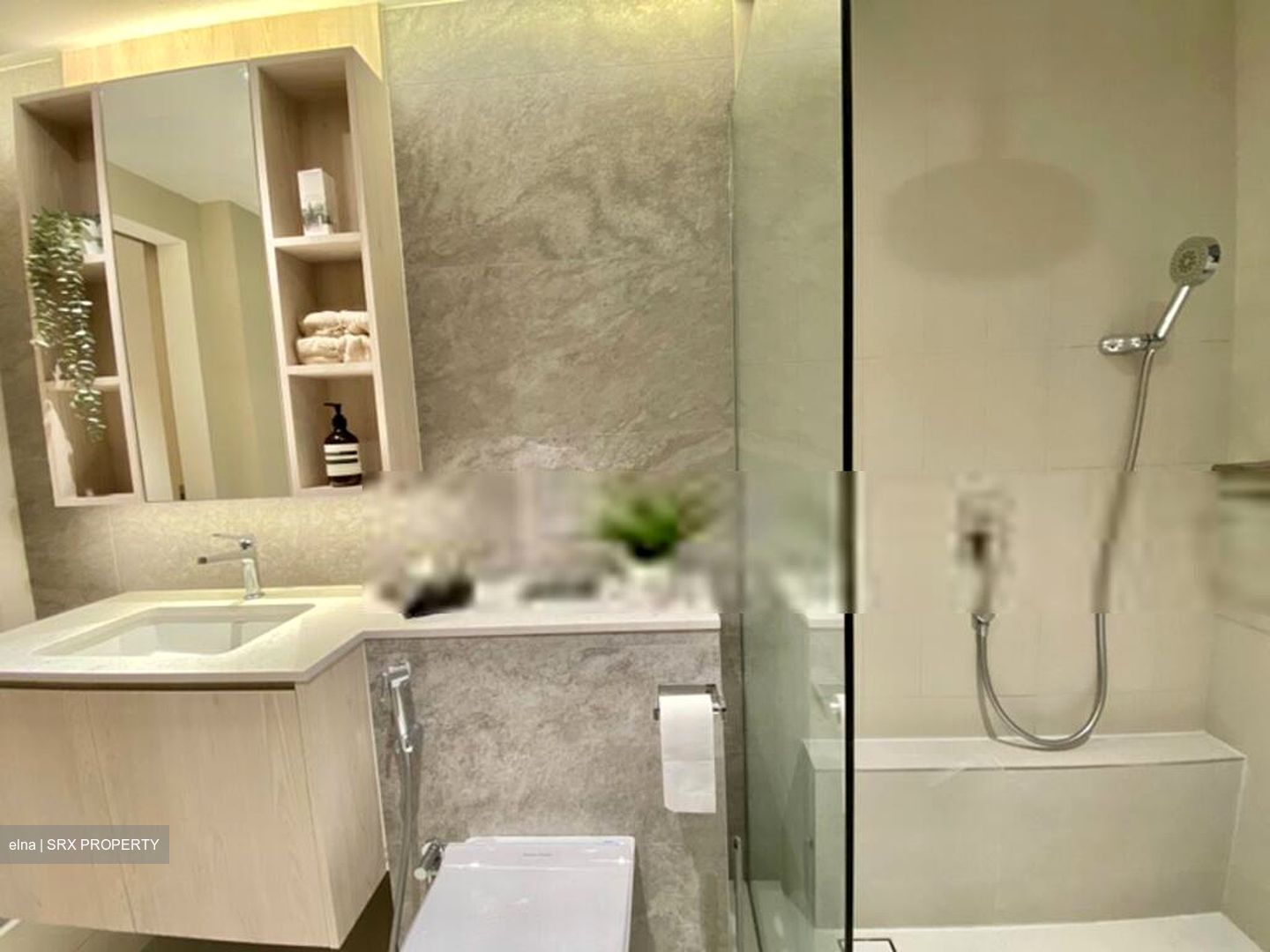 Cavenagh House (D9), Apartment #573373871